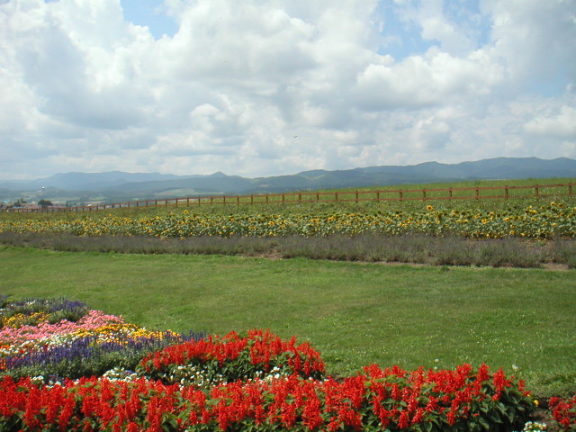 PICT0026.JPG