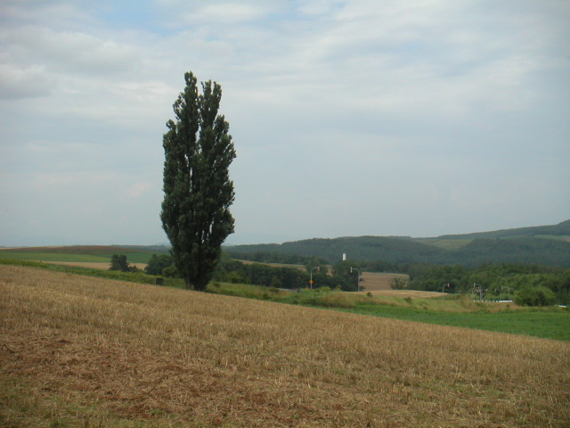 PICT0039.JPG
