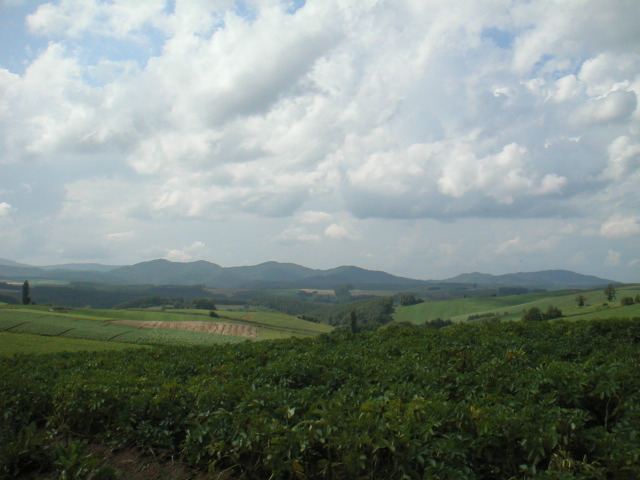 PICT0040.JPG
