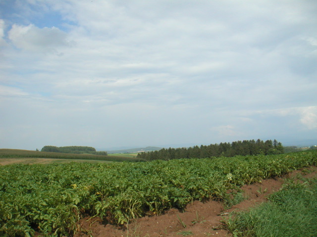 PICT0042.JPG