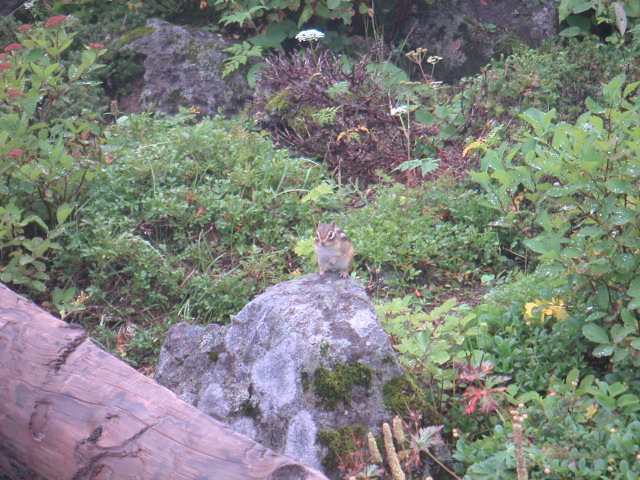 PICT0045.JPG