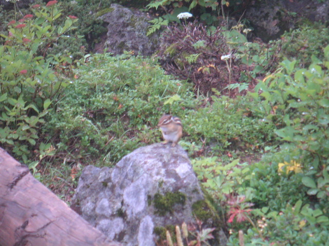 PICT0048.JPG