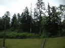 PICT0022.JPG