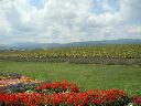 PICT0026.JPG