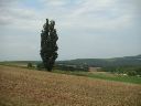 PICT0039.JPG