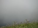 PICT0063.JPG
